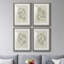 «Soft Shape I», ensemble de 4 reproductions de cadres photo-1393158491-1393158495