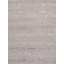 Transitional Silver/Gray Area Rug