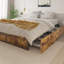 Julana Storage Platform Bed With 4 drawers No Headboard-64449346