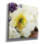 «White Poppies Up Close» par Shirley Novak, art mural sur toile-1617011156
