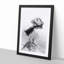 The Atlantic Puffin Bird in Abstract - Picture Frame Graphic Art Print-55735975-55735979