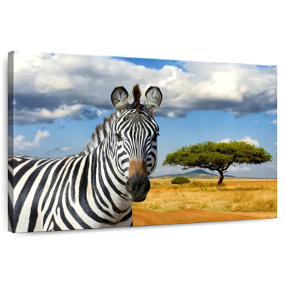 Brampt African Safari Zebra