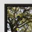 Southern Charm Print by Adam Mowery-75812737-75812741