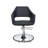 Remsen Faux Leather Salon Styling Chair-272034268