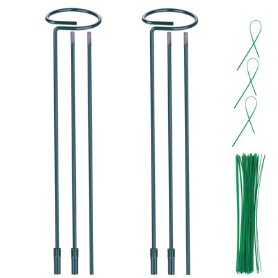Paquet de 2 piquets de bricolage avec 3 tailles ajustables (12 po, 24 po, 36 po), comprenant 20 attaches pour plantes, supports de jardin pour plantes d'intérieur et d'extérieur, fleurs, amaryllis et tomates