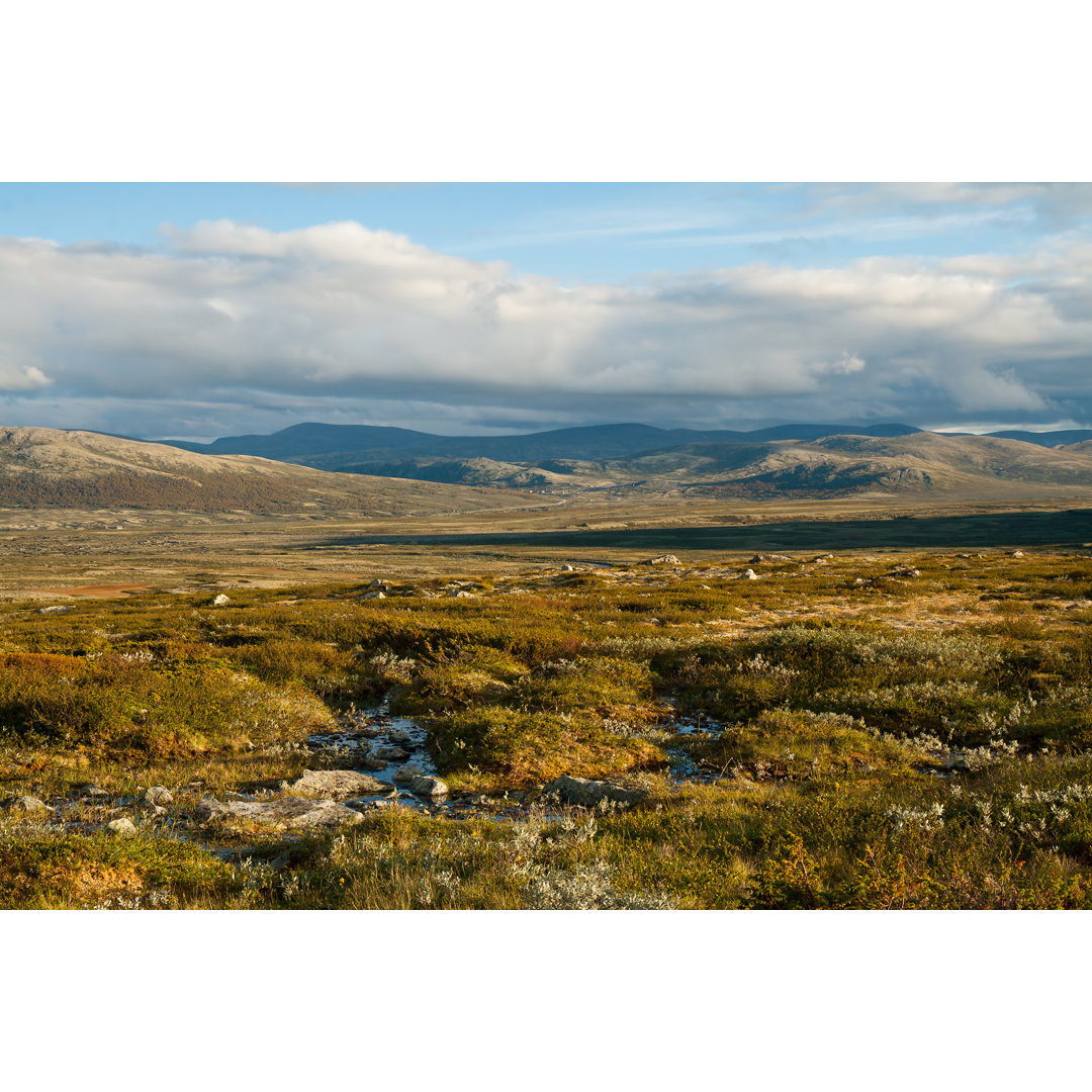 Sommer Tundra - Druck