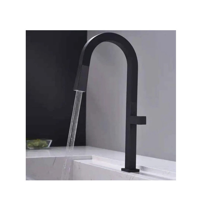 AvaMalis Pull Out Kitchen Faucet