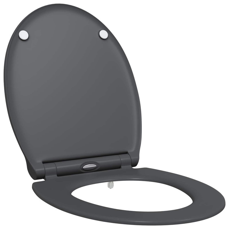 Anthracite Plastic Standard Adjustable Armrests Toilet Seat, Anthracite
