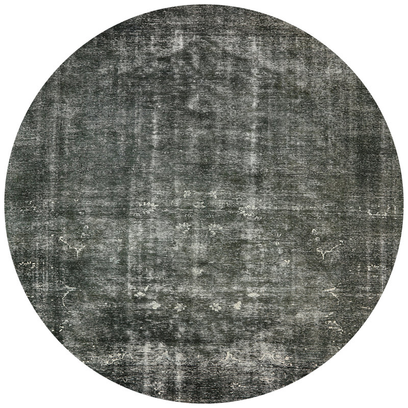 Janicki Oriental Indoor Rug, Round 3'