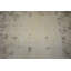 Tapis oriental beige tissé à la main Rectangle