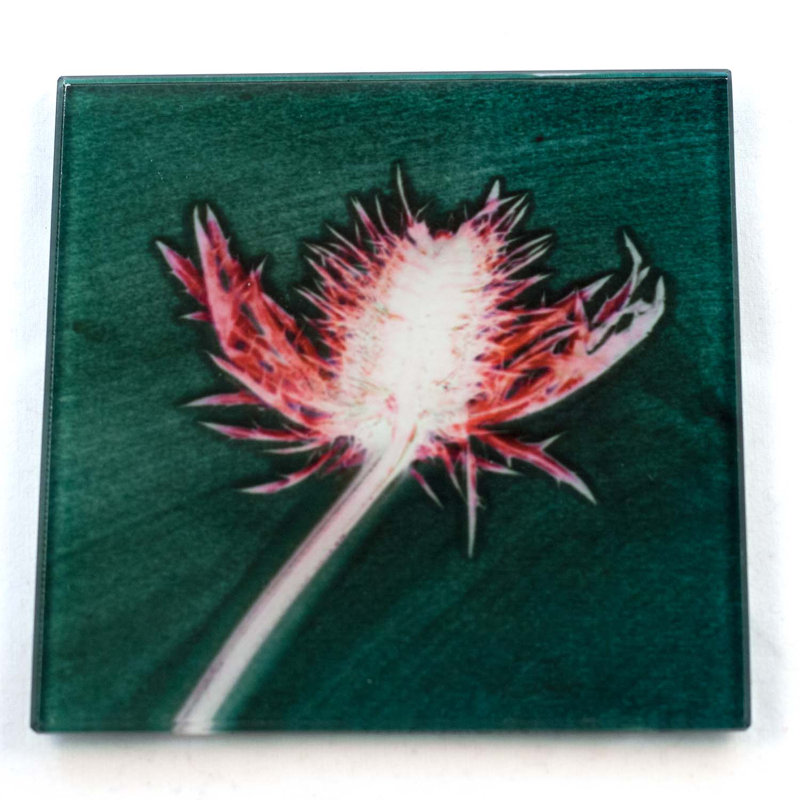 Glass Square 1 Piece Coaster, Green