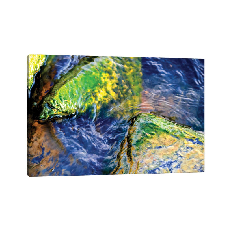 Encounter by Helena Cooper - Wrapped Canvas Gallery-Wrapped Canvas Giclée, 66.04 cm H x 45.72 cm W x 1.91 cm D