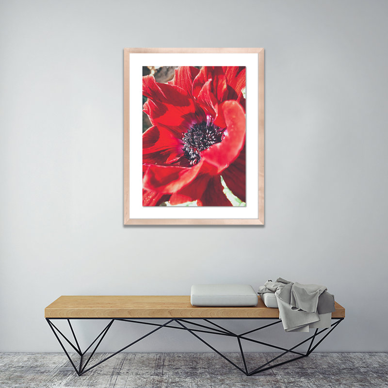 Red Poppy Print by Vitaliy Paykov, Natural, 40" H x 32" W x 2.5" D