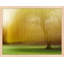 Spring Lingerie by Laura Zimmerman - Framed Wall Art-1670266232-1670265989
