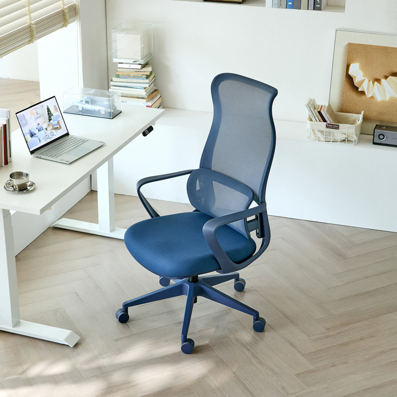 High Back Ergonomic Mesh Office Chair with Adjustable Lumbar Support, Rocking Function, Swivel Task Chair for Home Office, Computer Desk & Study Room