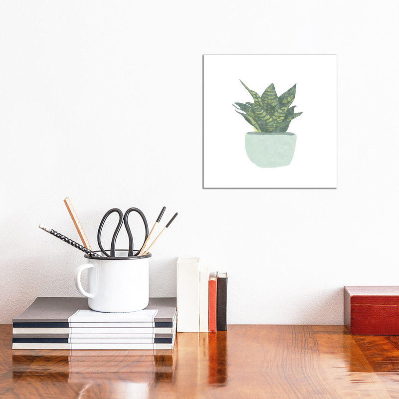 Snake Plant IV by Bannarot - Wrapped Canvas Print, 30.48 cm H x 30.48 cm W