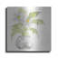 Lark Manor ™ «Plant Daisy I» par Chris Paschke-2140582530
