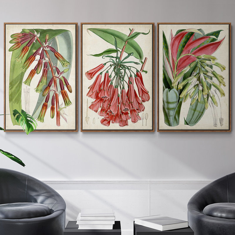 Tropical Gems I - ensemble de 3 reproductions sur toile, Noyer, H 36 po x l 72 po