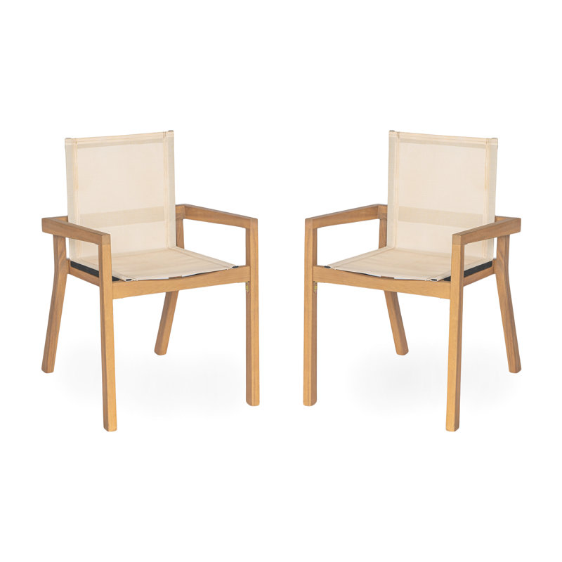 Chaises d'extérieur en filet beige: cadre solide pour le salon en bois 2 et siège confortable, Beige