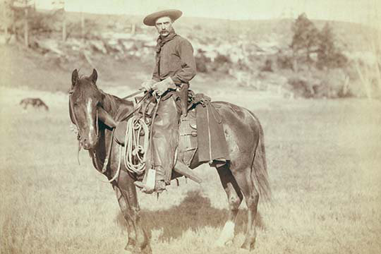 « the cow garçon » par john c.h. grabill, reproduction de photo
