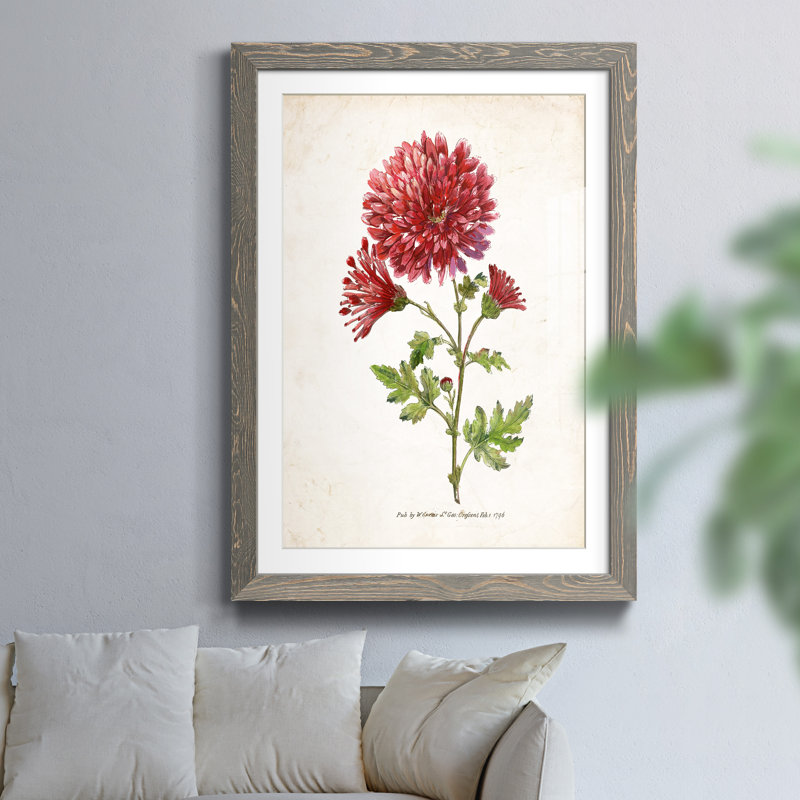 Zen Succulent III - Cadre photo, reproduction d'art sur papier, Cadre en papier gris, H 44 po x l 31 po x P 1 po