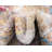 Kingston Oriental Indoor Rug-40281640
