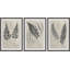 « rétro triptyques study ii »-ensemble de 3 reproductions d’art sur papier-30521204