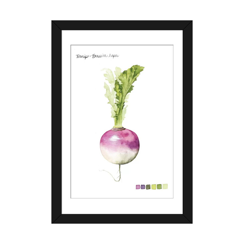 «Root Légume VI», impression sur toile, Blanc, Papier d'art encadré noir, H 32 po x l 24 po x P 1 po