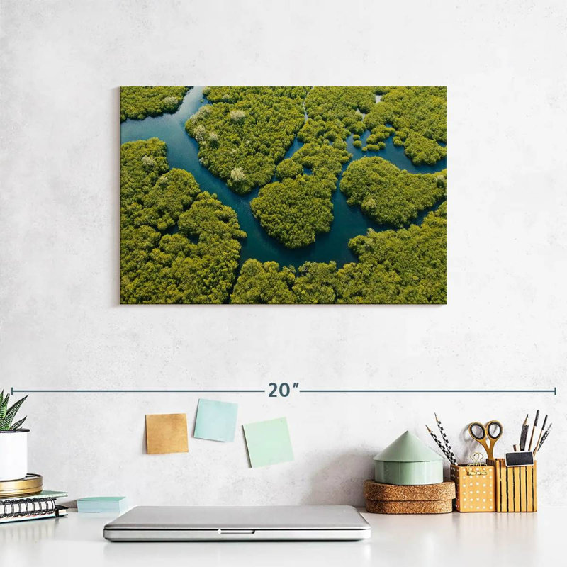 Alvord Lush Siargao Mangrove Forest, H 8 po x l 12 po