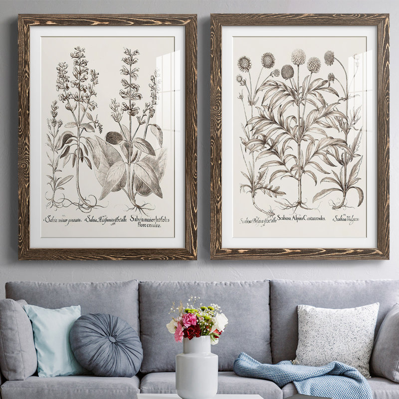 Sépia Besler Botanicals III - reproduction encadrée de qualité supérieure - prête à être accrochée, Noyer