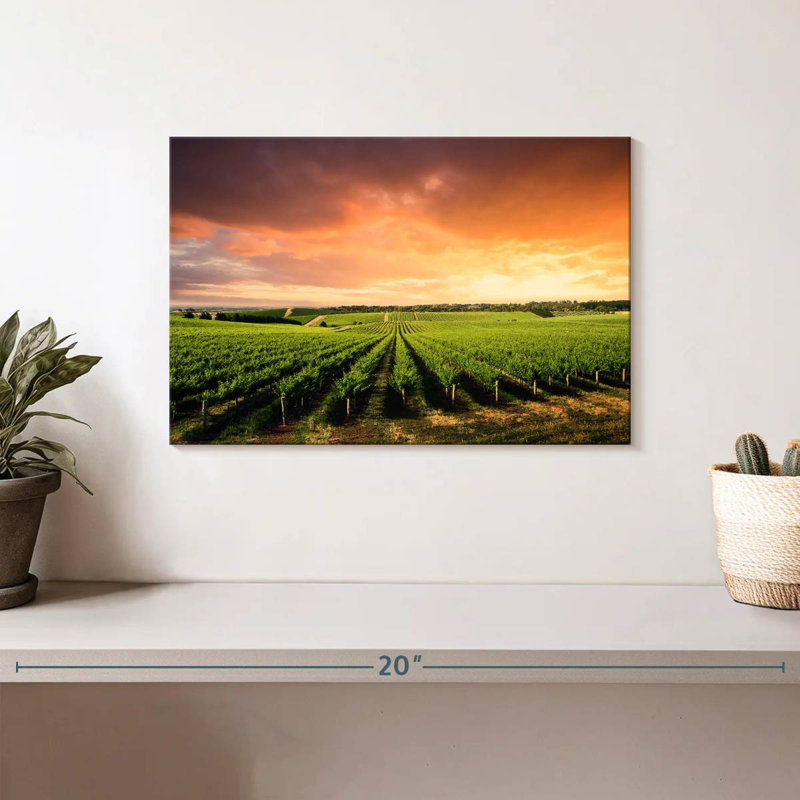 Alvord Vineyard Sunset Horizon, H 8 po x l 12 po