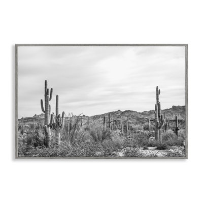 Art numérique Sonican Desert Wonderland par Nathan Larson
