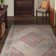 Shantae Oriental Indoor Rug