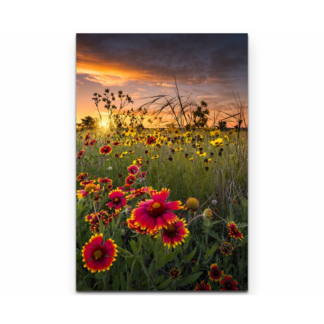 Leinwandbild Bunte Wildblumenwiese im Morgengrauen