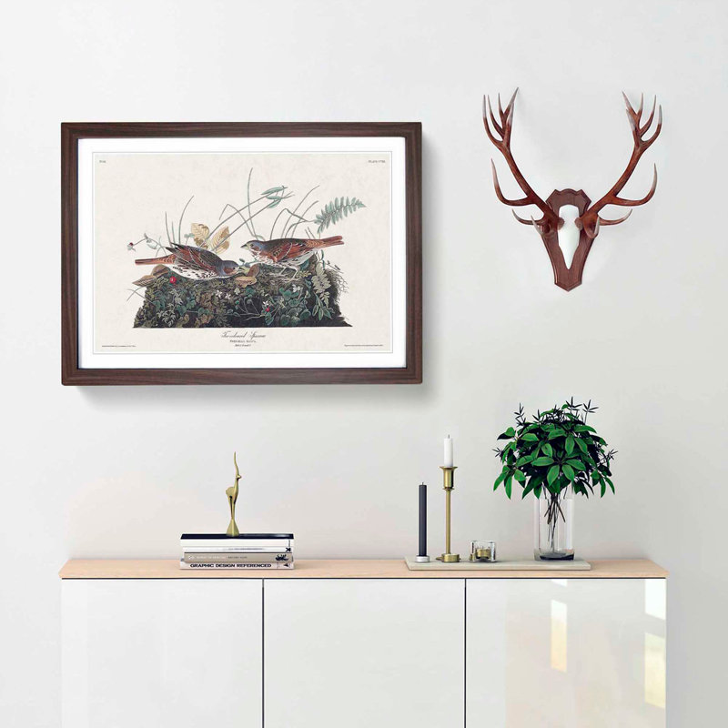 Fox-Coloured Sparrow by John Audubon - Picture Frame Painting Print, 27cm H x 36cm W x 2cm D, Walnut Framed