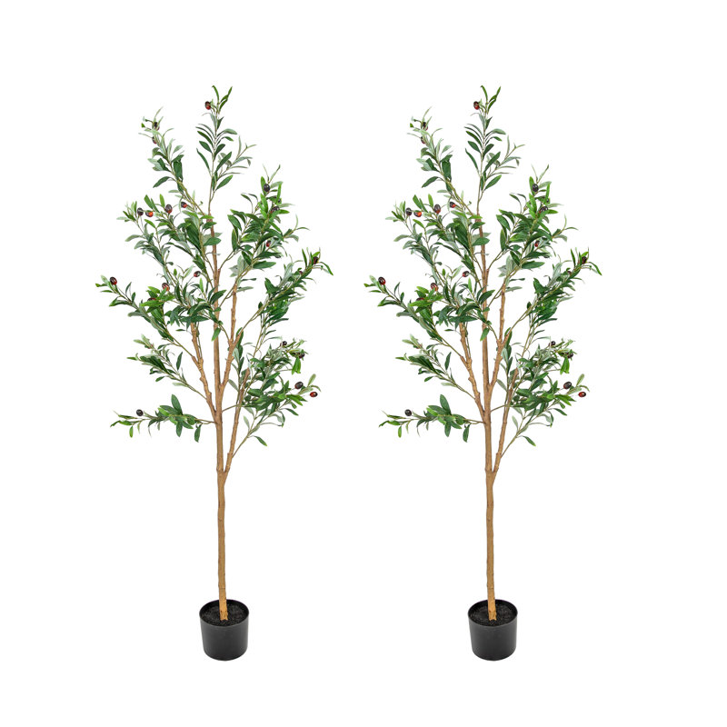 Olive artificielle - paquet de 2, H 60 po x l 21 po x P 21 po