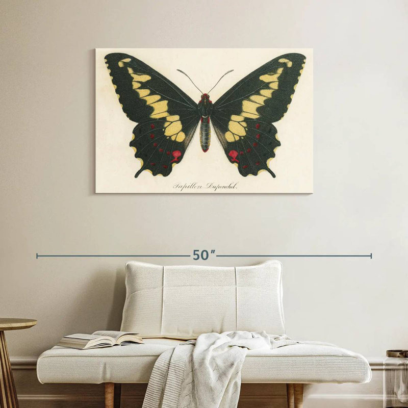 Brampt Natures Butterfly VI, 26" H x 39" W