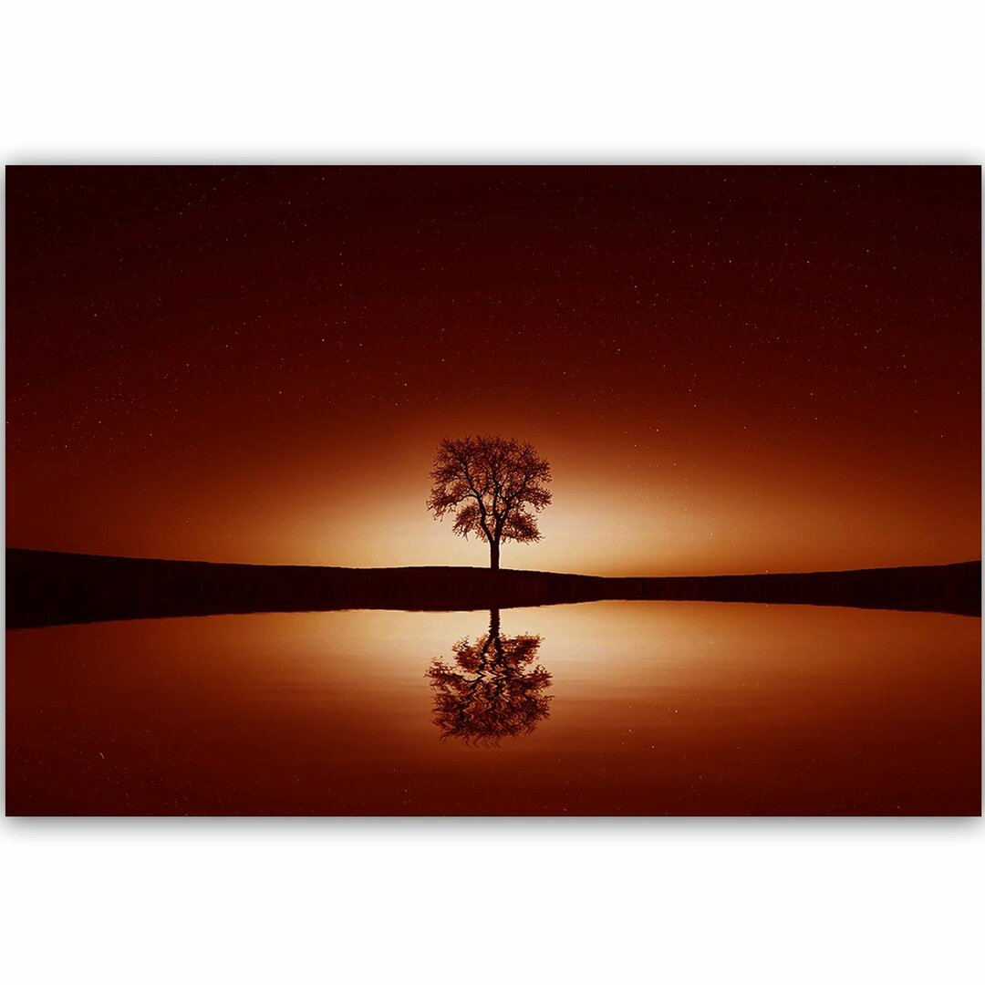 Leinwandbild Der Baum unter dem Sternenhimmel 4