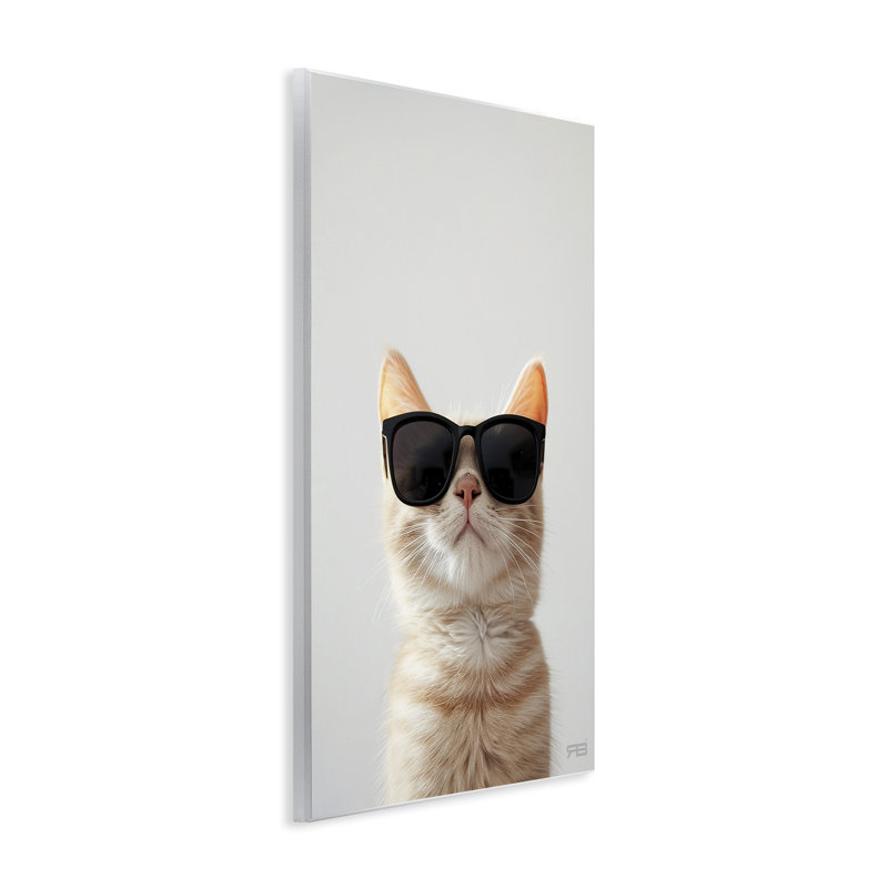 "Cool", lunettes de soleil, plaque murale sur chat par Roozbeh Bahramali, H 15 po x l 10 po