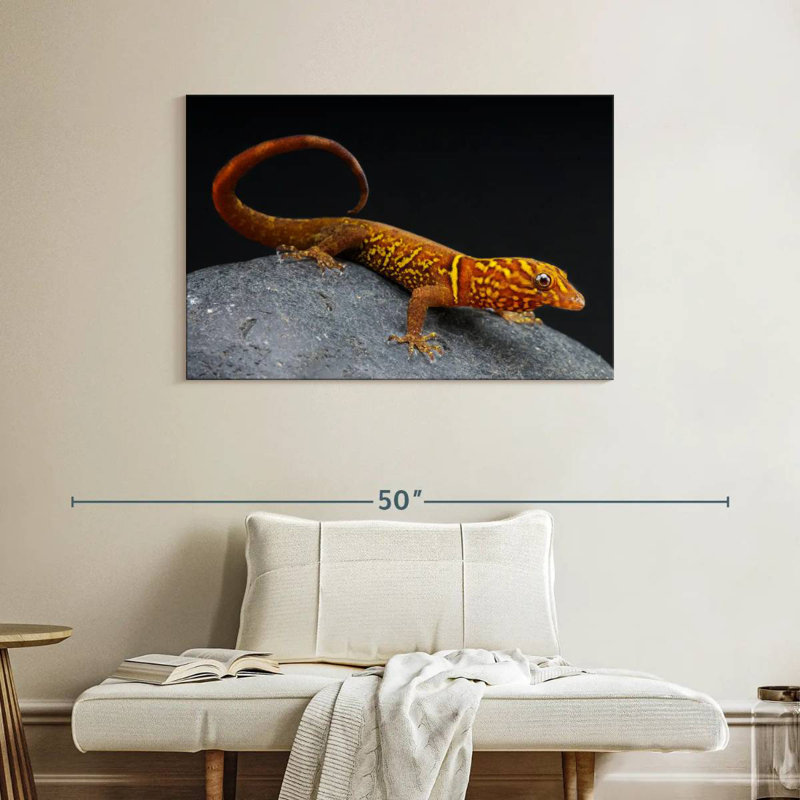 Brampt Gecko, 26" H x 39" W