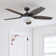 Carmel 48'' Ceiling Fan with LED Lights and Remote Included