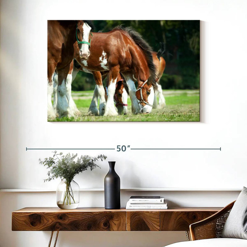 Brampt Clydesdale Horses, H 26 po x l 39 po