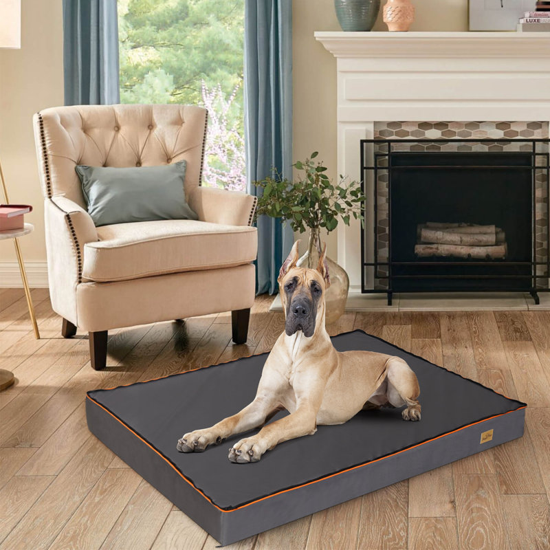 Lit pour chien Pillow, H 4,7 po x l 53,1 po x P 39,3 po