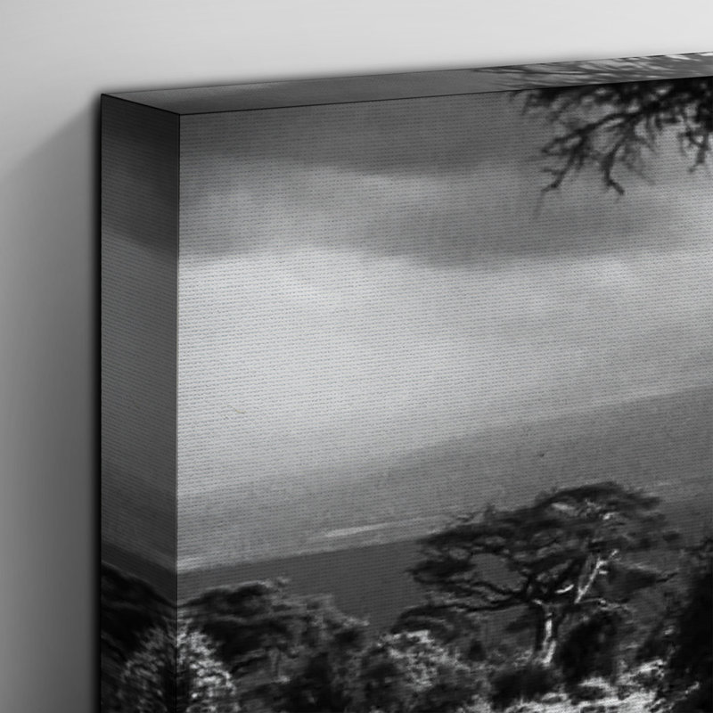Wrapped Canvas Print, 50cm H x 76cm W