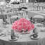8 pièces de roses artificielles 8 "avec 3" fleurs, 100 pièces (2 paquets)