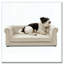 Lit rectangulaire pour petits et moyens chiens, canapé-lit surélevé durable, canapé confortable pour chien-1963123929