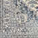 Woosley Oriental Indoor Rug