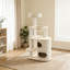 Structure d'escalade simple pour chat blanc cassé
