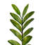Buisson artificiel zamifolia zen vert en pot-20583944