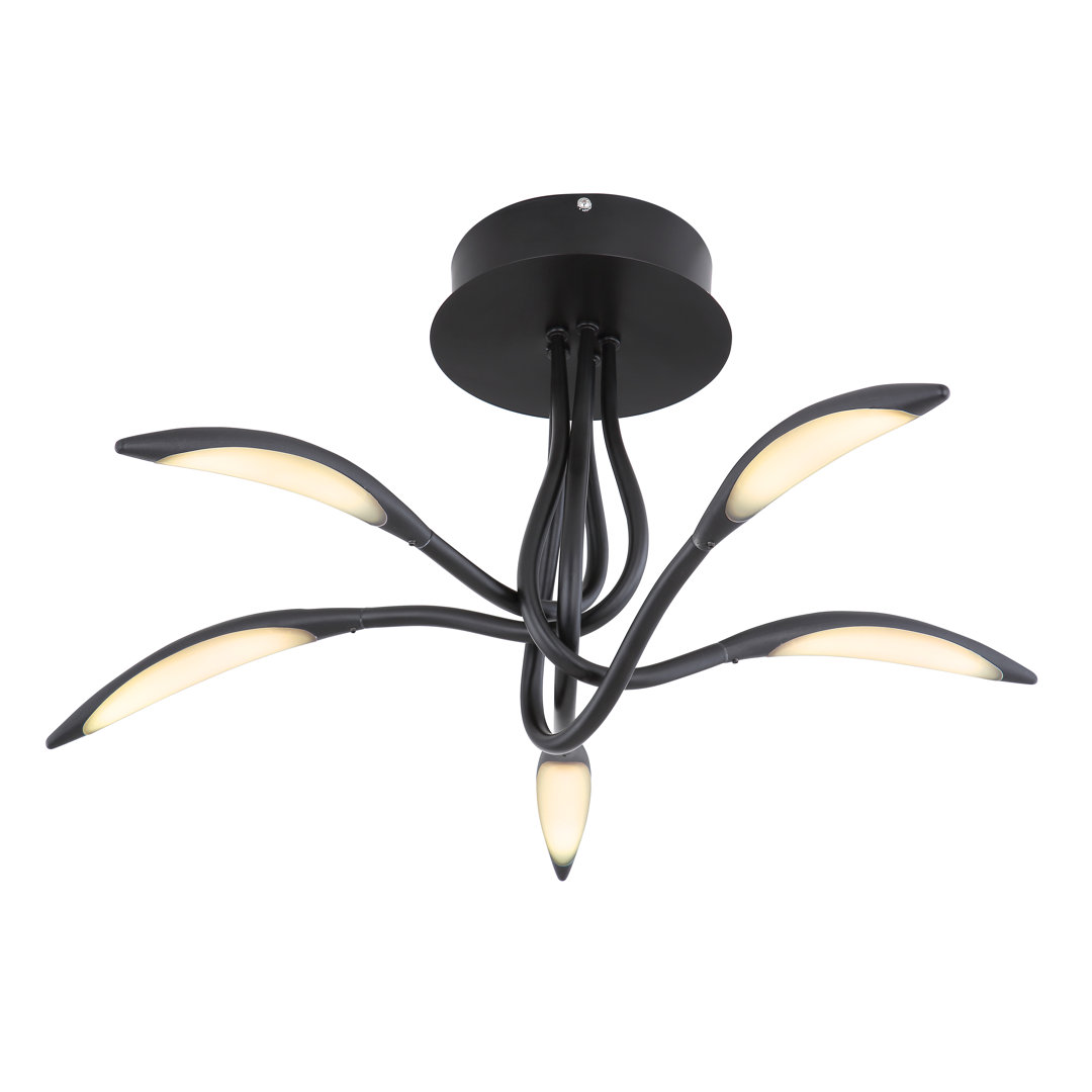 Ceiling light